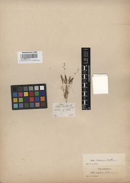 LE 00011171