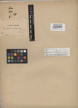 LE 00011179