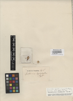 LE 00011185