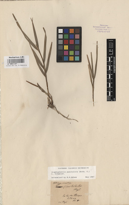 LE 00011187