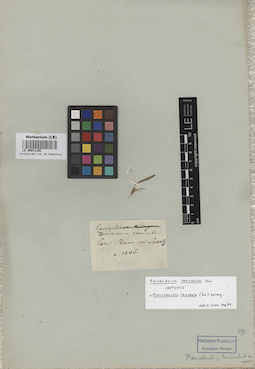 LE 00011191