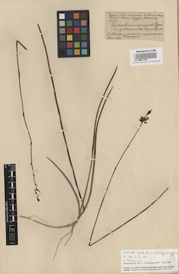LE 00011193