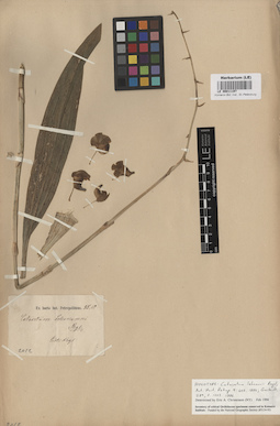 LE 00011197