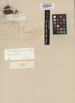 LE 00011205