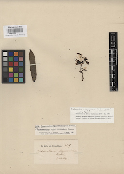 LE 00011222