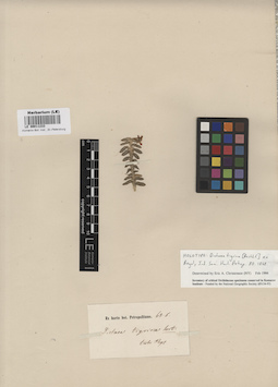 LE 00011233