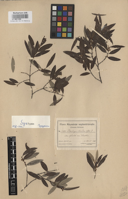 LE 00011390