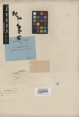 LE 00011493