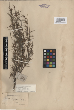 LE 00011530