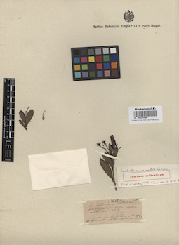 LE 00011536
