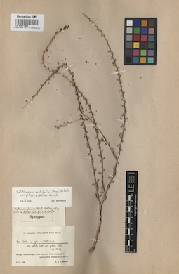 LE 00011802
