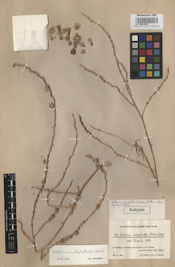 LE 00011804