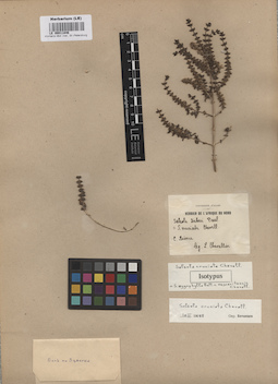 LE 00011846