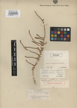 LE 00011848
