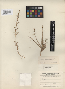 LE 00011851