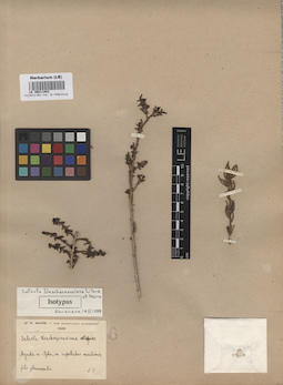 LE 00011852