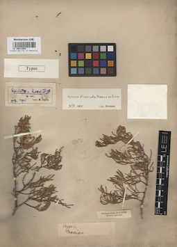 LE 00011854