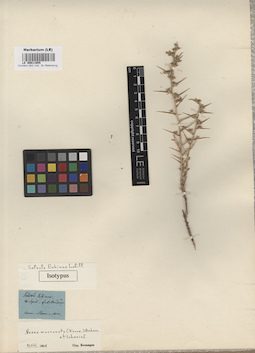 LE 00011855