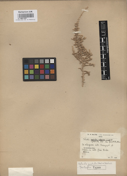 LE 00011857