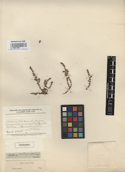 LE 00011858