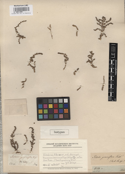 LE 00011859