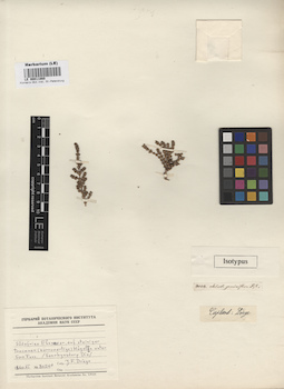 LE 00011860