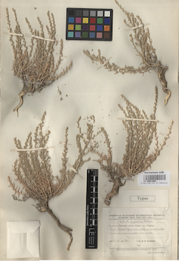 LE 00011864