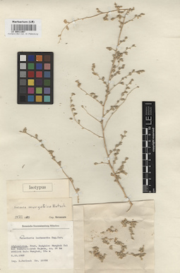 LE 00011867