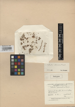 LE 00011870