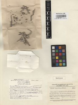 LE 00011874