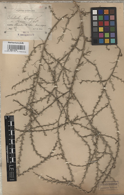 LE 00011875
