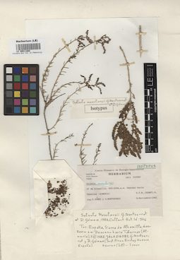 LE 00011888