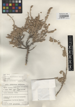 LE 00011890