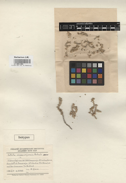 LE 00011892