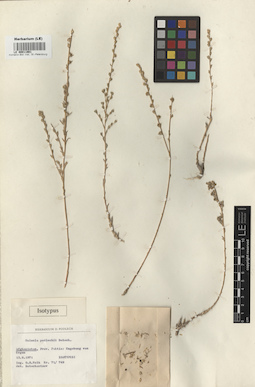 LE 00011901