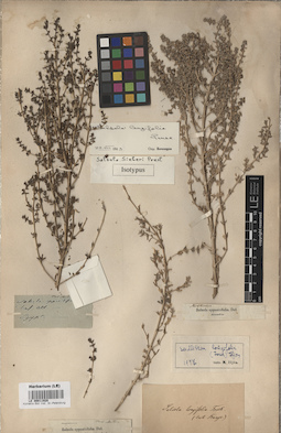 LE 00011920