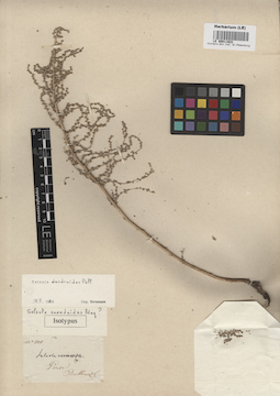 LE 00011922