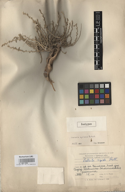 LE 00011926