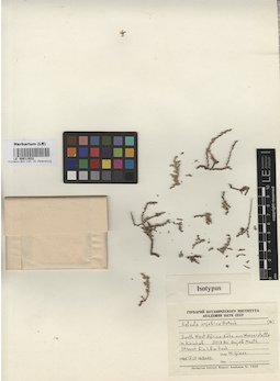 LE 00011932
