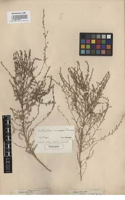 LE 00011934