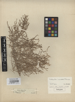 LE 00011935