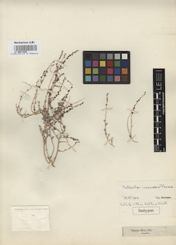 LE 00011936