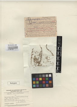LE 00011942
