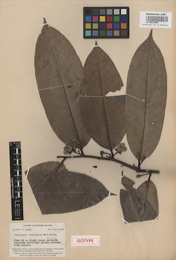 LE 00012455