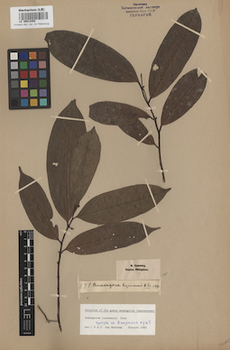 LE 00012458