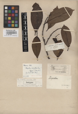 LE 00012461