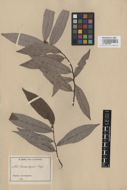 LE 00012467