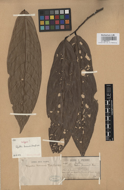 LE 00012471
