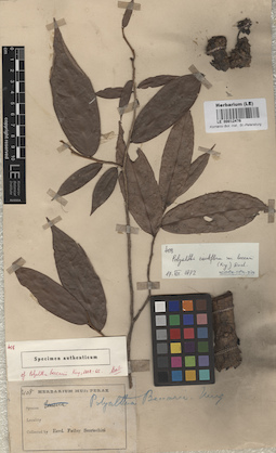 LE 00012476