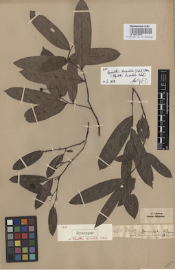 LE 00012483